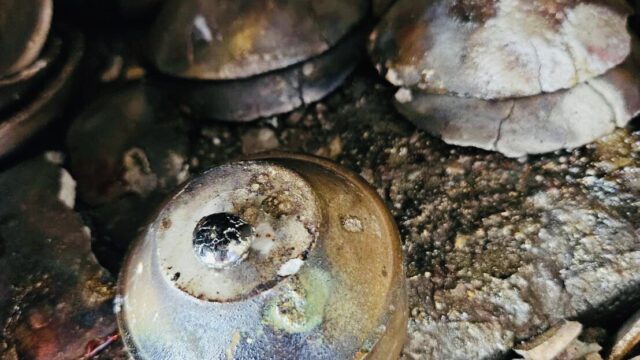 ネックレスを溶かして指環をつくる工程
