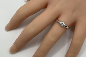 リフォーム後ダイヤリング